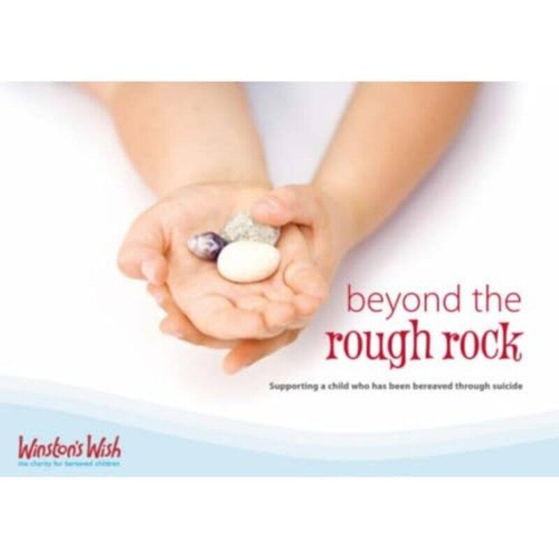 

Beyond the Rough Rock by Kelvin Heng Kiat National Institute of Education Singapore Tan-Paperback