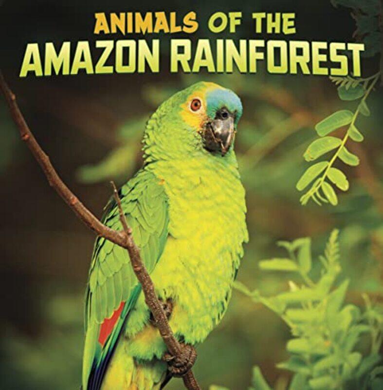 

Animals of the Amazon Rainforest by Linda E Texas State University USA HomeyerMarshall N Independent scholar Texas USA Lyles-Paperback