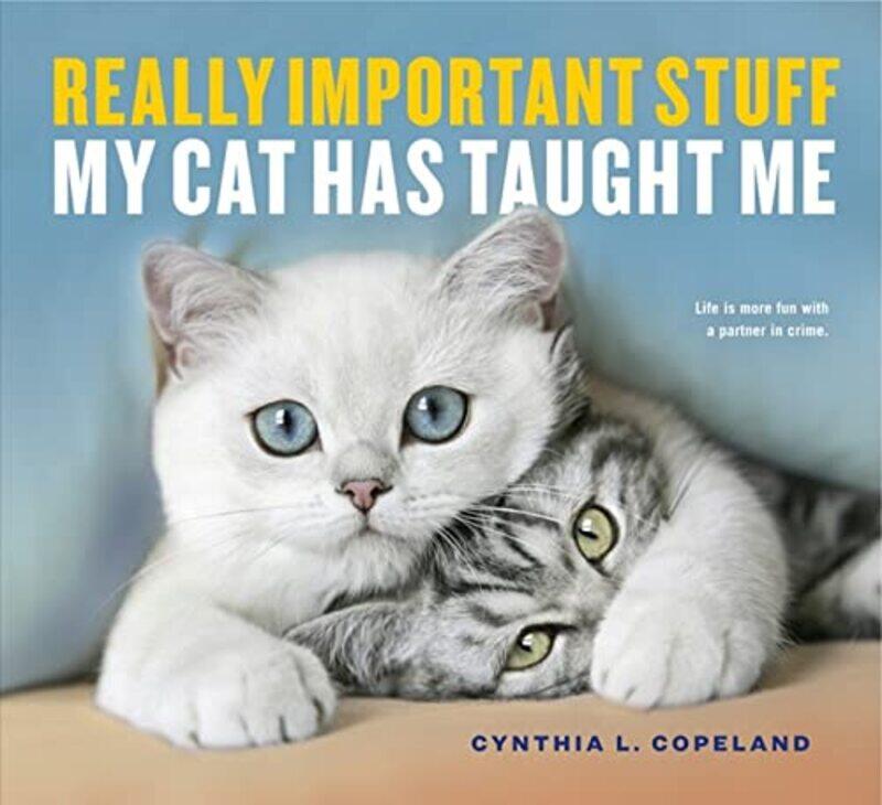 

Really Important Stuff My Cat Has Taught Me by Michael Miller-Paperback