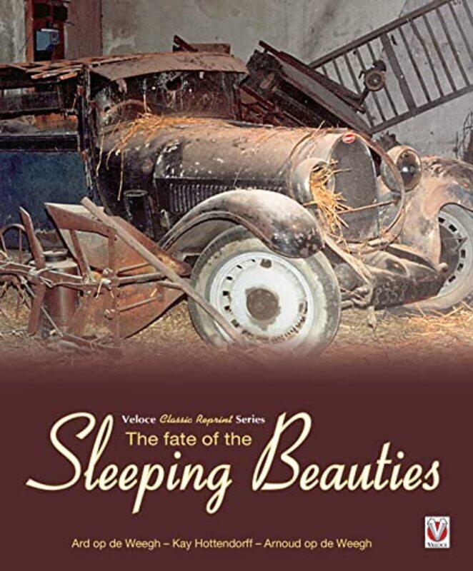 

The Fate of the Sleeping Beauties by Tony Haskell-Paperback