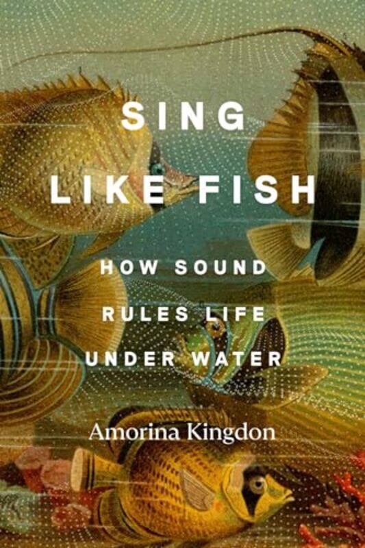 

Sing Like Fish By Kingdon Amorina - Hardcover