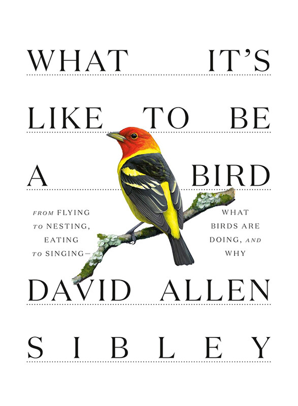 

What Its Like to Be a Bird, Hardcover Book, By: David Allen Sibley