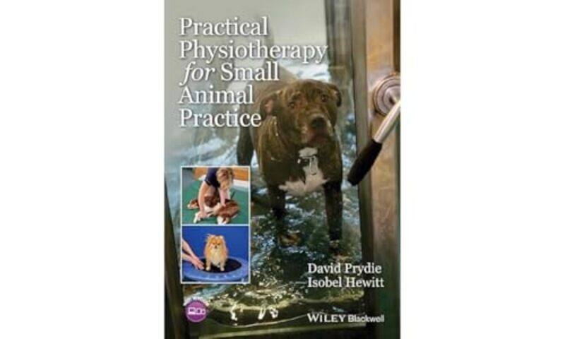 

Practical Physiotherapy for Small Animal Practice by Harriet Brundle-Paperback