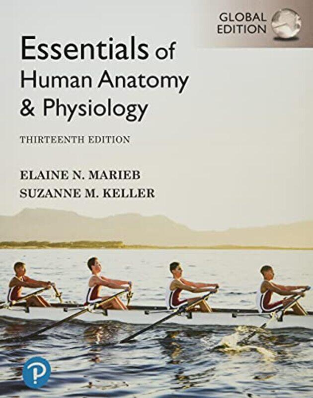 

Essentials of Human Anatomy & Physiology Global Edition Paperback by Marieb, Elaine - Keller, Suzanne