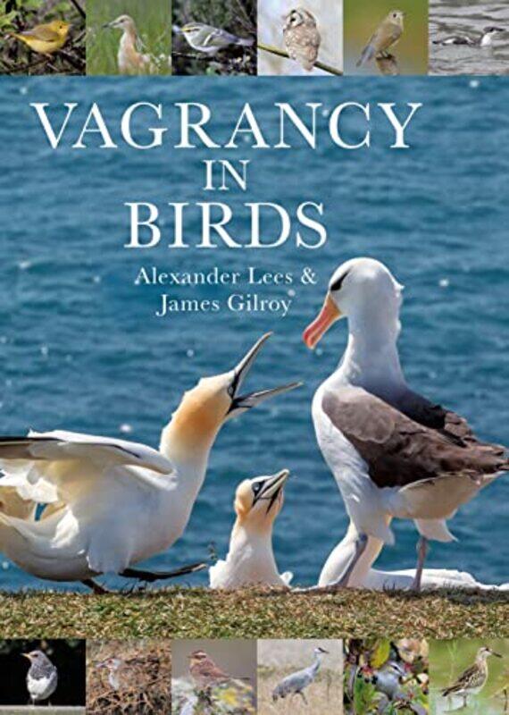 

Vagrancy In Birds by Dr Alexander LeesDr James Gilroy-Hardcover