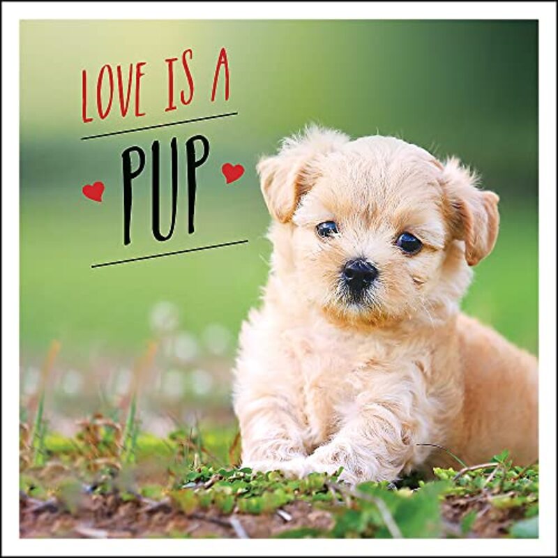 Love is a Pup: A Dog-Tastic Celebration of the Worlds Cutest Puppies,Hardcover by Ellis, Charlie