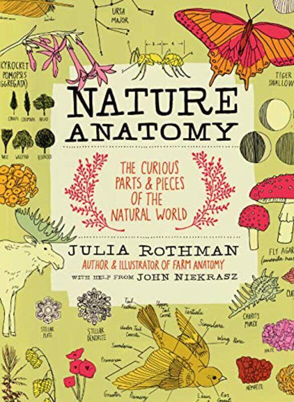 

Nature Anatomy: The Curious Parts and Pieces of the Natural World , Paperback by Rothman, Julia