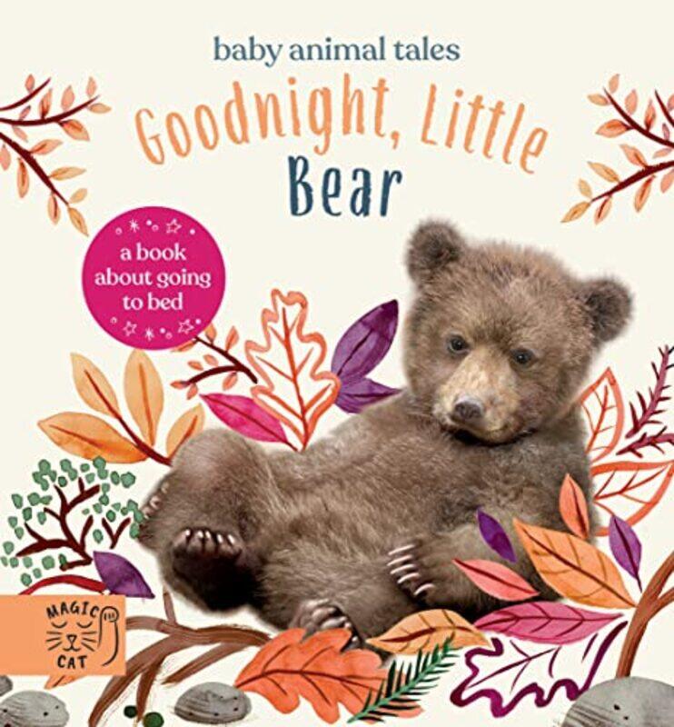

Goodnight Little Bear by Max WainewrightJohn Haslam-Hardcover