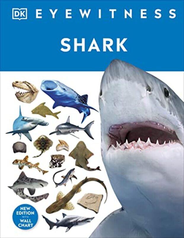 

Shark by Frank Collins-Hardcover