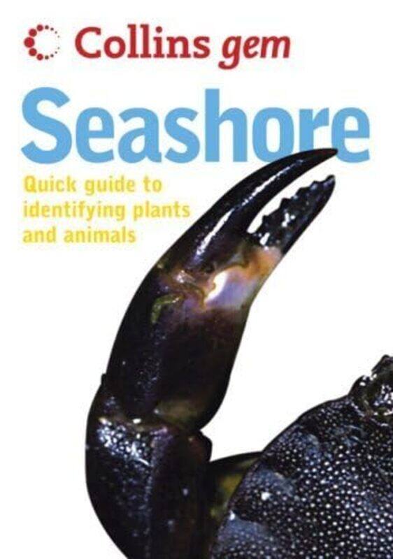 

Seashore by Barclay Price-Paperback