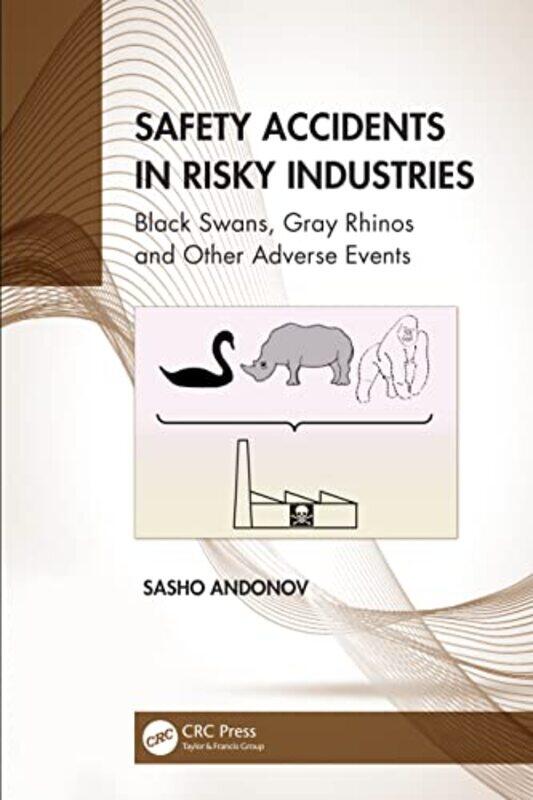 

Safety Accidents in Risky Industries by Henri Stellman-Hardcover