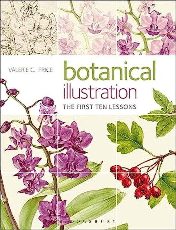 

Botanical Illustration by Jacob and Wilhelm GrimmHans Christian AndersenScott Plumbe-Paperback