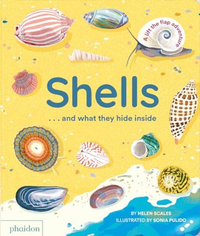 

Shells And What They Hide Inside By Scales Helen - Hardcover