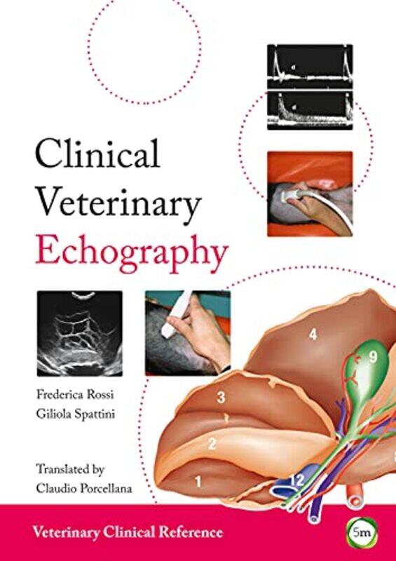 

Clinical Veterinary Echography by Clayton W BarrowsTom PowersDennis R Reynolds-Hardcover