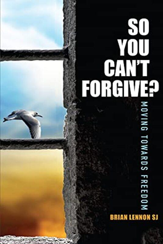 

So You Cant Forgive by Elmar Brummer-Paperback