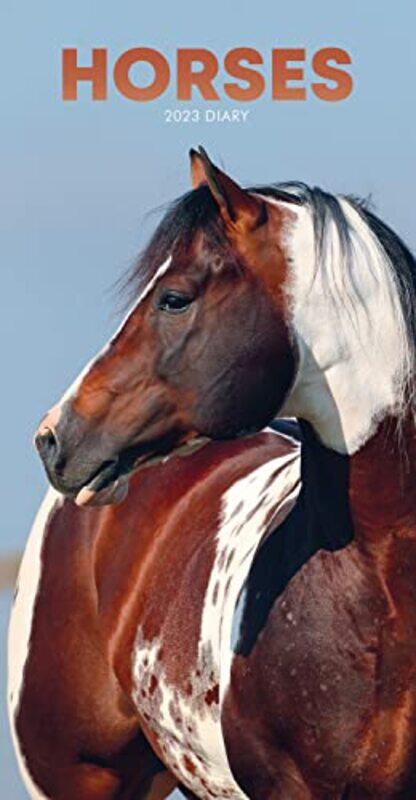 

Horses Slim Diary by Carous - Paperback