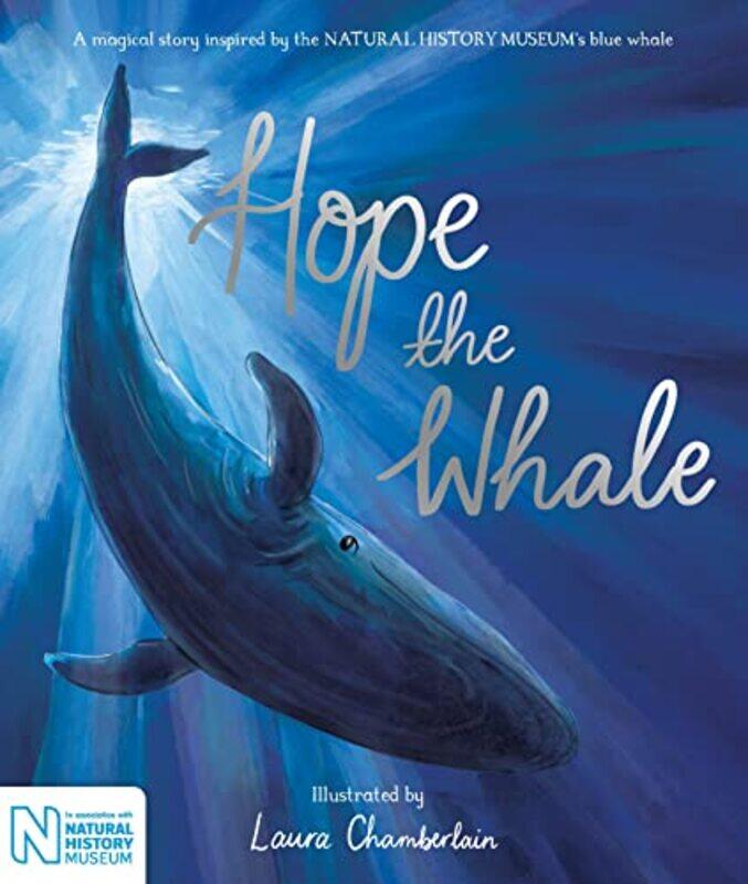 

Hope the Whale by Macmillan Childrens BooksLaura Chamberlain-Paperback