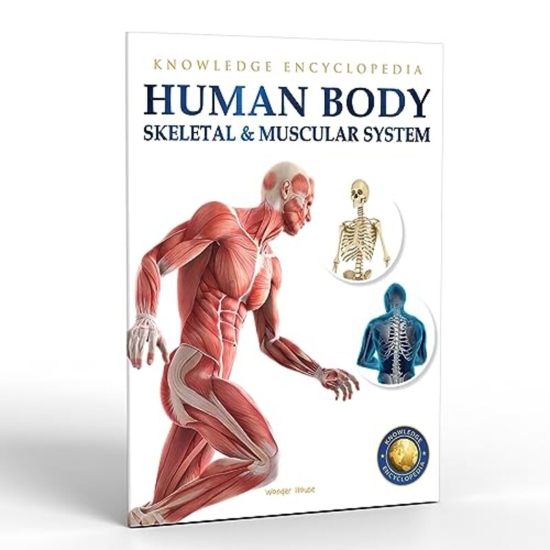 Human Body Skeletal And Muscular System: Knowledge Encyclopedia For Children Paperback by Wonder House Books