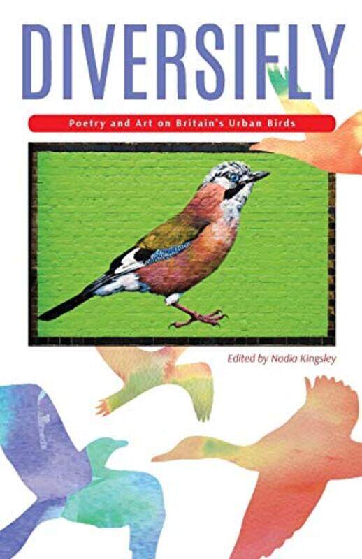 

Diversifly by Lynne BayleyAndrew ClarkPaolo Coppo-Paperback