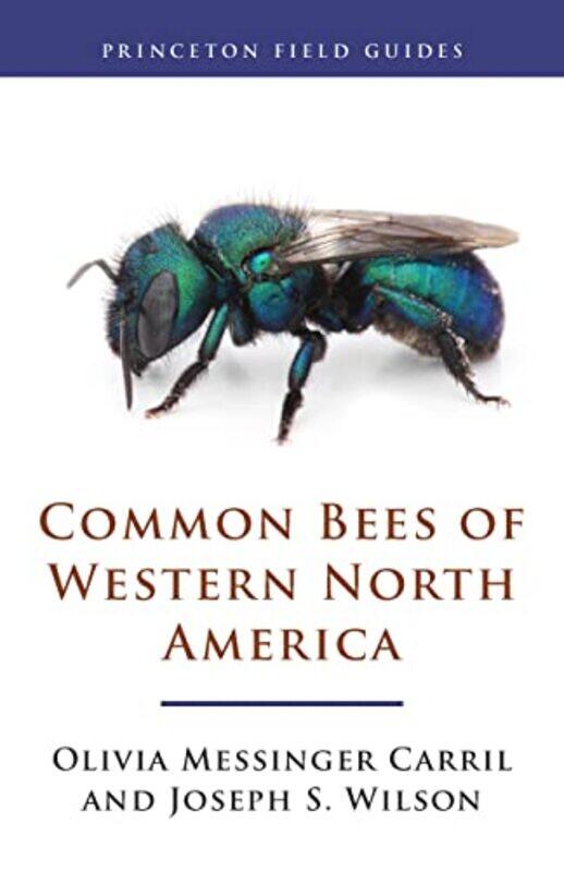 

Common Bees of Western North America by Andrew TanenbaumNick FeamsterDavid Wetherall-Paperback