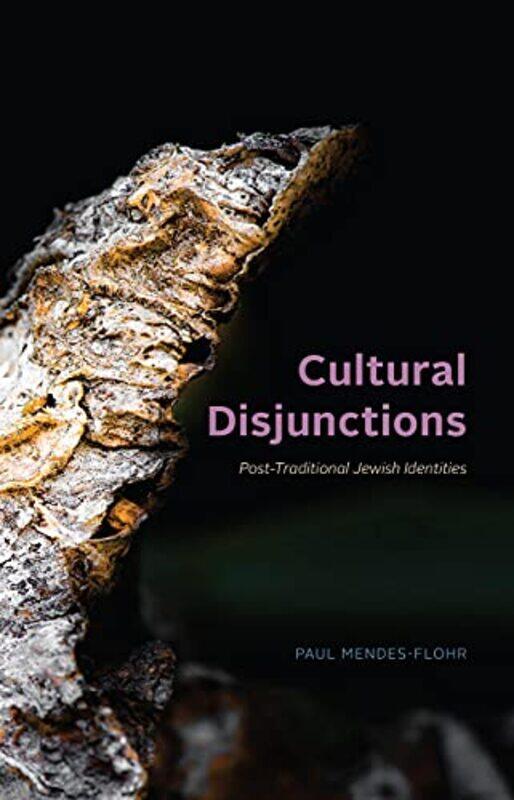 

Cultural Disjunctions by Lester R Earth Policy Institute Brown-Hardcover