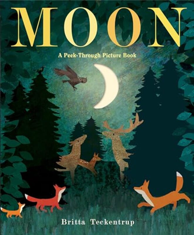 

Moon A Peek Through Picture Bk By Teckentrup Britta - Hardcover