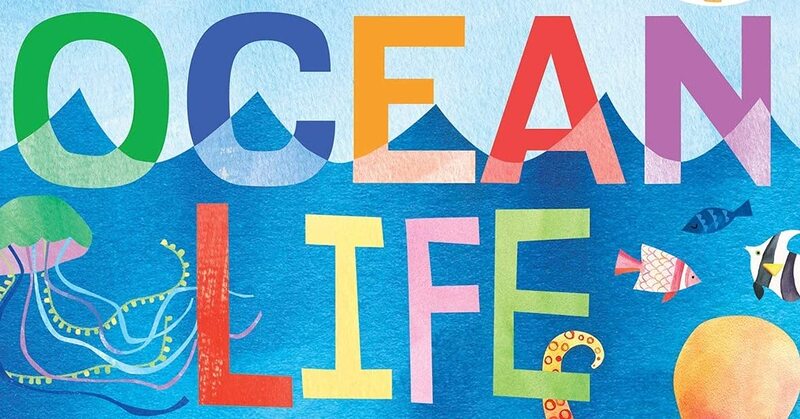 Hello, World! Ocean Life, Board Book, By: Jill McDonald