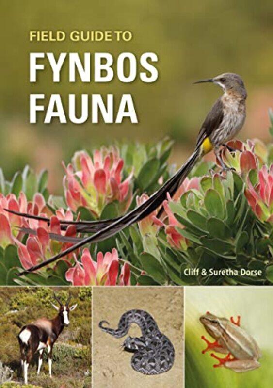 

Field Guide to Fynbos Fauna by Nigel BarnesKaroliina Ilmonen-Paperback