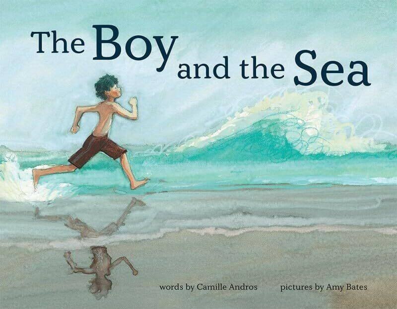 

The Boy and the Sea by Camille AndrosAmy June Bates-Hardcover