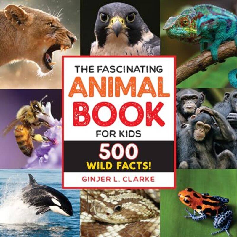 

Fascinating Animal Bk For Kids By Clarke Ginjer - Hardcover