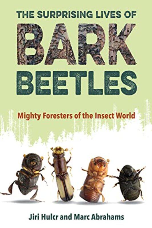 

The Surprising Lives of Bark Beetles by John Lesley-Paperback