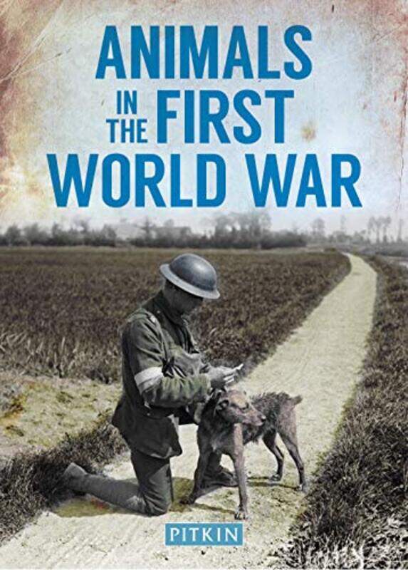 

Animals in the First World War by Peter Street-Paperback