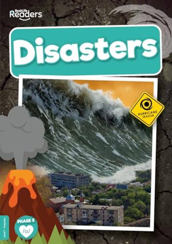 

Disasters by Louise Nelson -Paperback