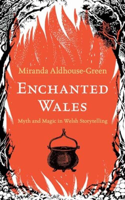 

Enchanted Wales by Miranda Aldhouse-Green-Hardcover