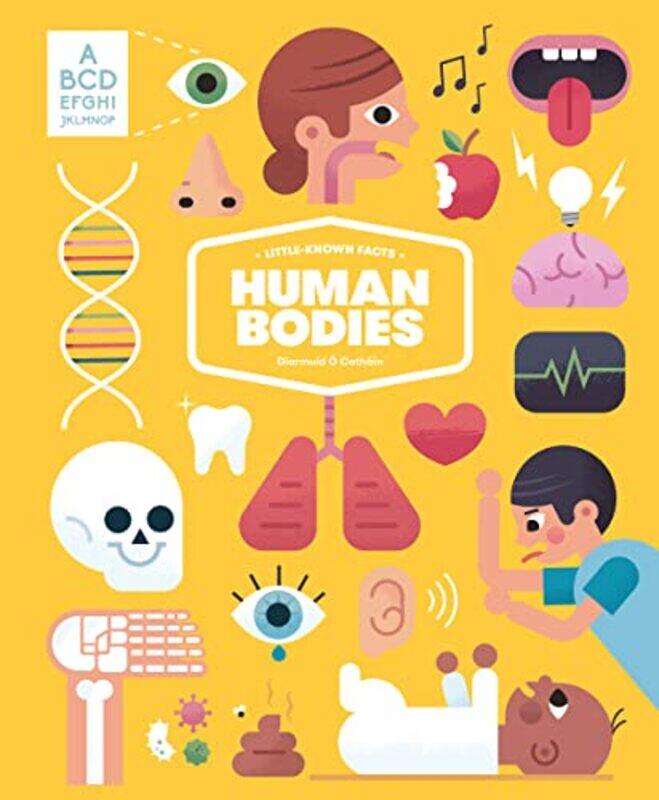 

Littleknown Facts The Human Body by Diarmuid O CathainVictionary-Hardcover