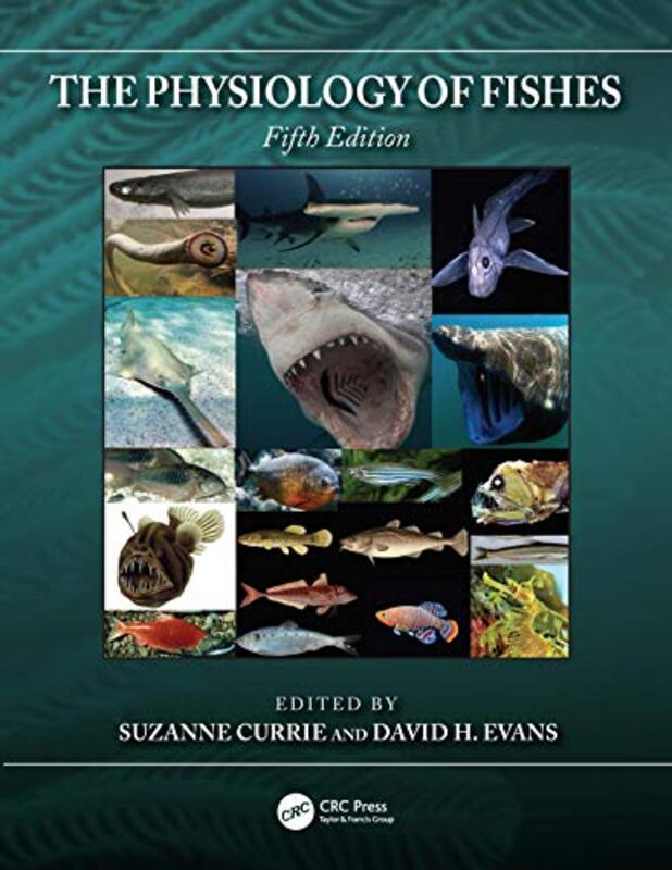 The Physiology of Fishes by Paul George-Paperback