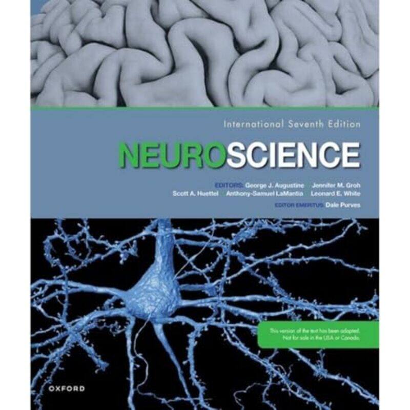 

Neuroscience by George J AugustineJennifer M GrohScott A HuettelAnthony-Samuel LaMantiaLeonard E WhiteDale Purves-Paperback