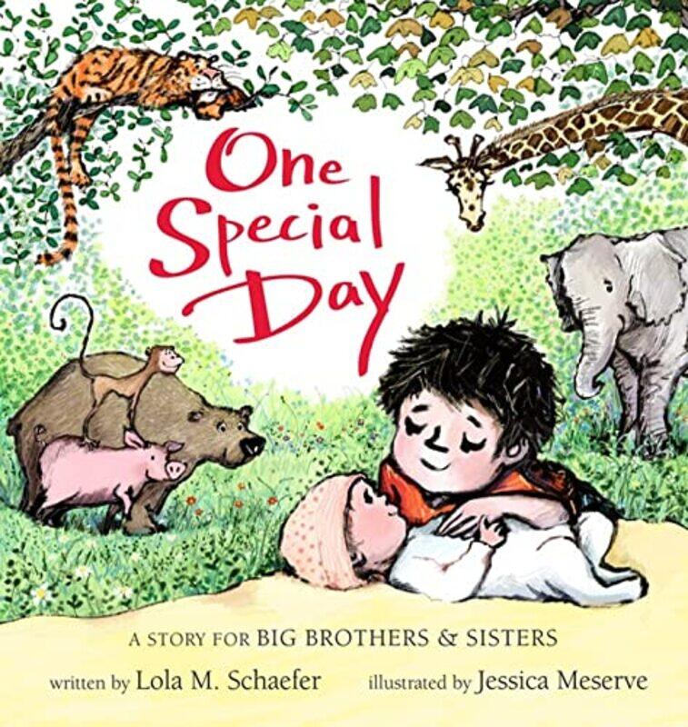 

One Special Day by Lola SchaeferJessica Meserve-Hardcover