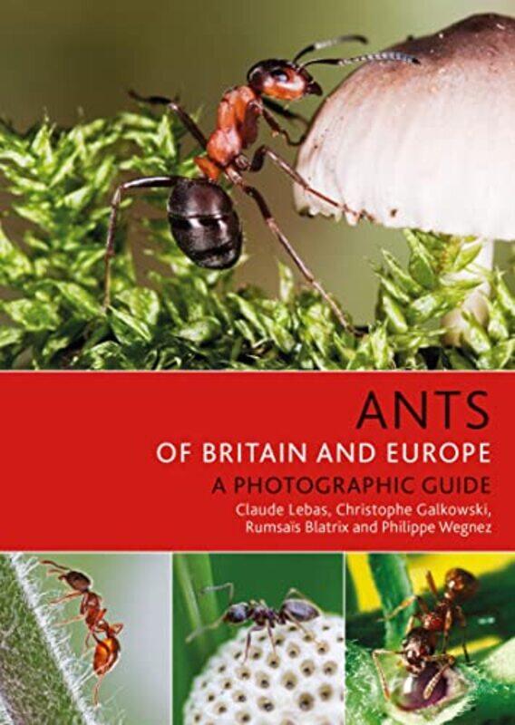 

Ants of Britain and Europe by David S George Mason Univesity USA AndersonRichard E George Mason University USA Miller-Paperback