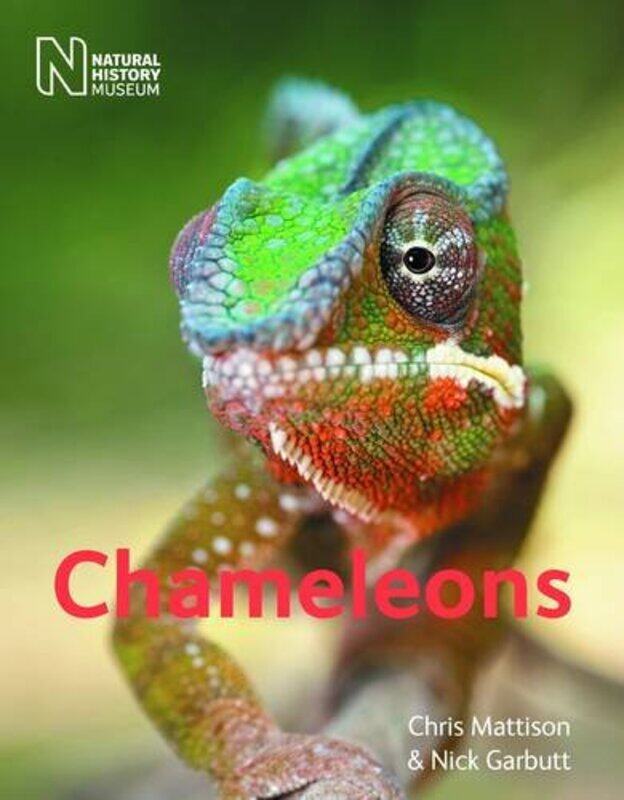 

Chameleons by Alice M BaldricaPatricia A DeBunchDon D Fowler-Paperback