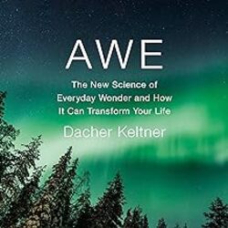 Awe: The Transformative Power of Everyday Wonder by Keltner, Prof. Dacher - Paperback