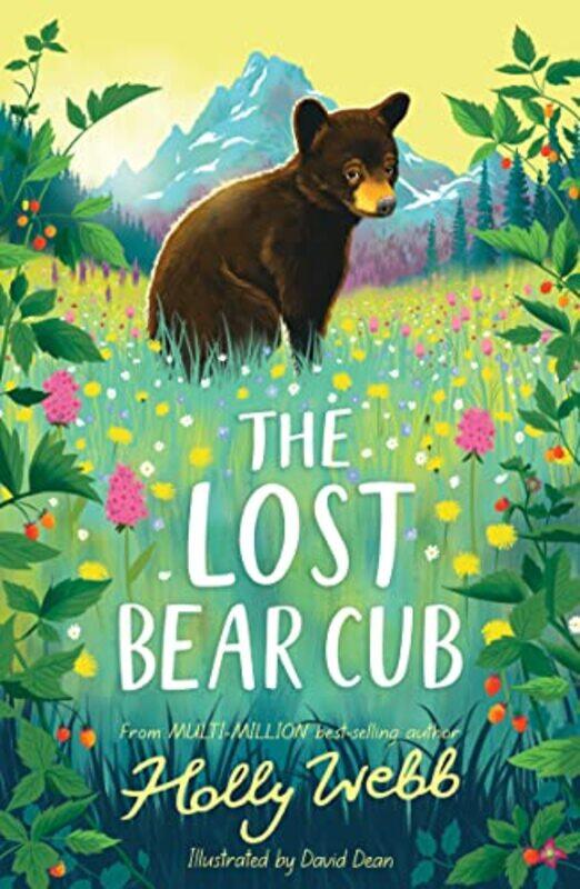

The Lost Bear Cub by Holly WebbDavid Dean-Paperback