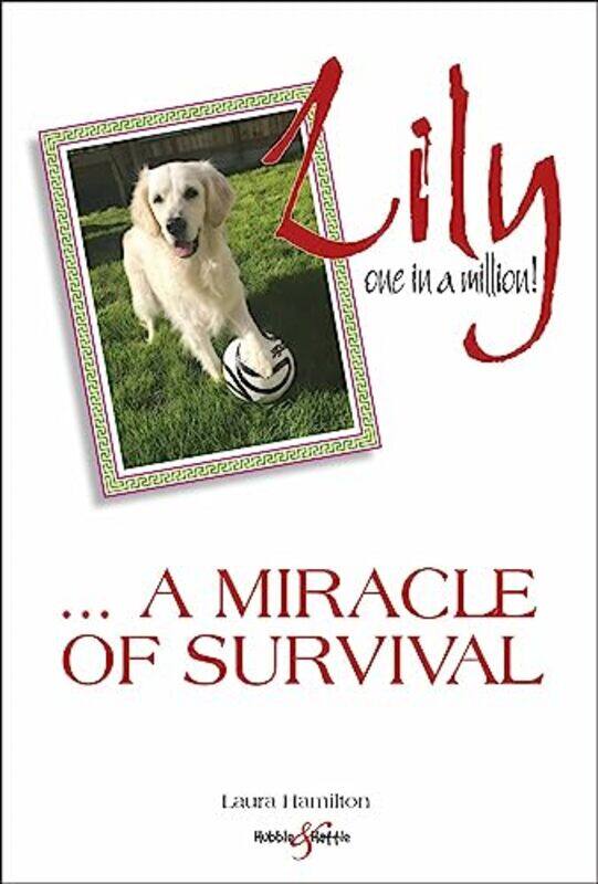 

Lily one in a million by Reeja Radhakrishnan-Paperback