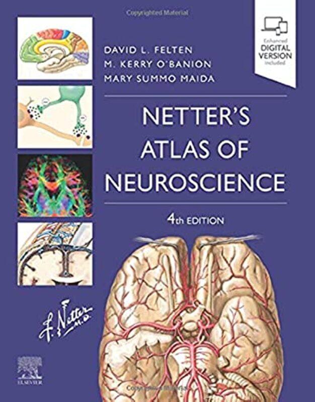 

Netters Atlas of Neuroscience by Terence P Moran-Paperback