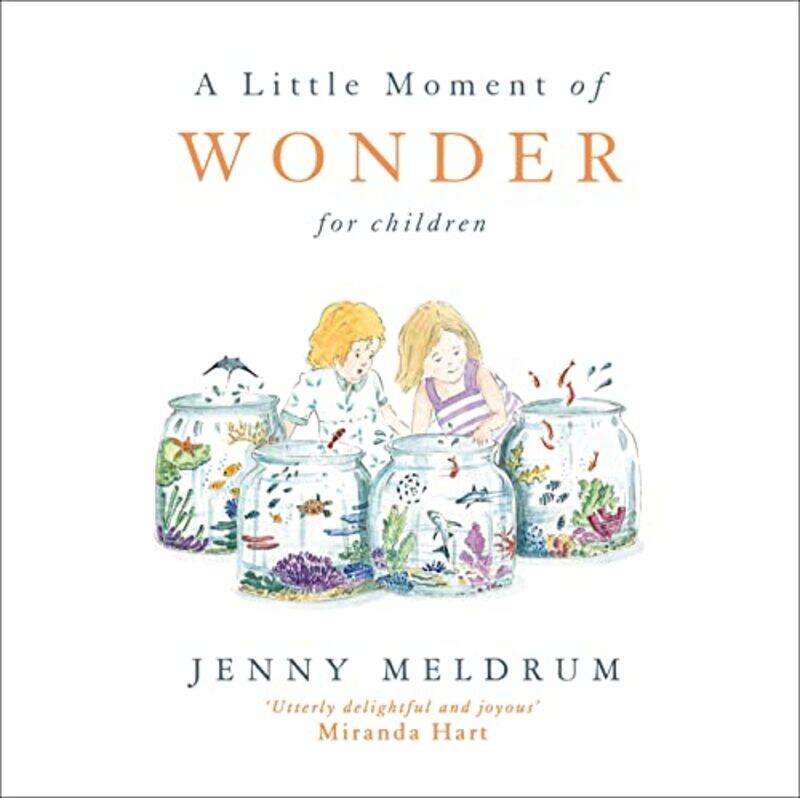 

A Little Moment of Wonder for Children by Jenny Meldrum-Hardcover