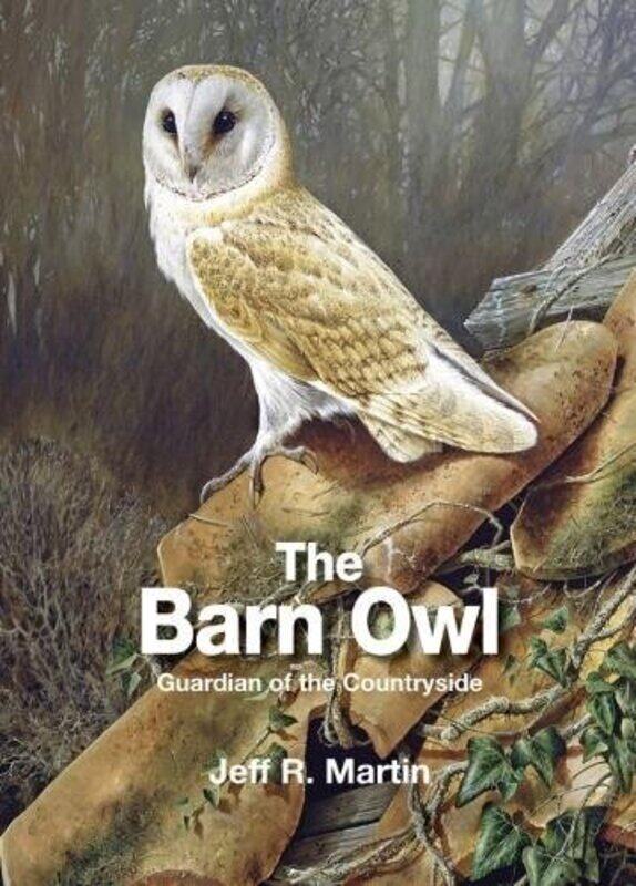 

The Barn Owl by Ksenya Savva-Hardcover