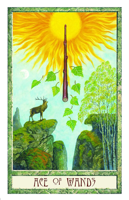 The Druid Craft Tarot Deck, Flash Cards, By: Philip Carr-Gomm, Stephanie Carr-Gomm, Will Worthington