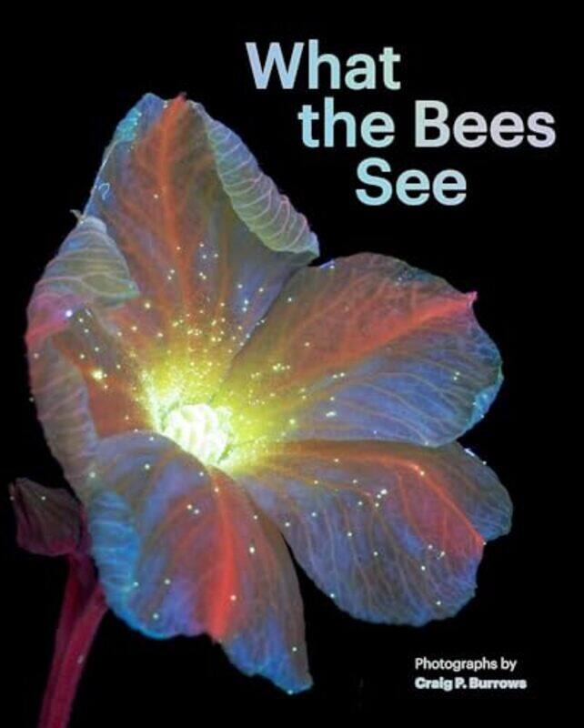 

What The Bees See By Burrows Craig P - Hardcover