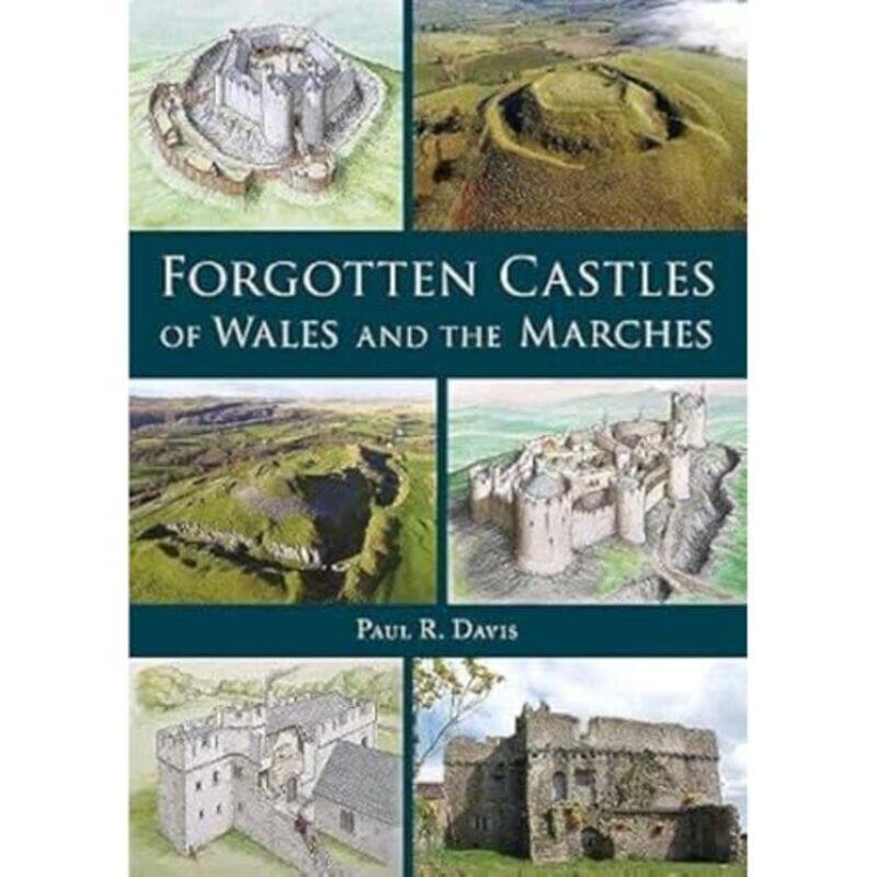 

Forgotten Castles of Wales and the Marches by Robin F BachinAmy L Howard-Paperback