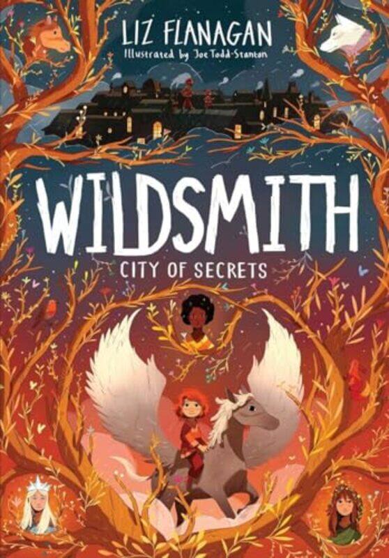 

City of Secrets by Liz FlanaganJoe Todd-Stanton-Paperback